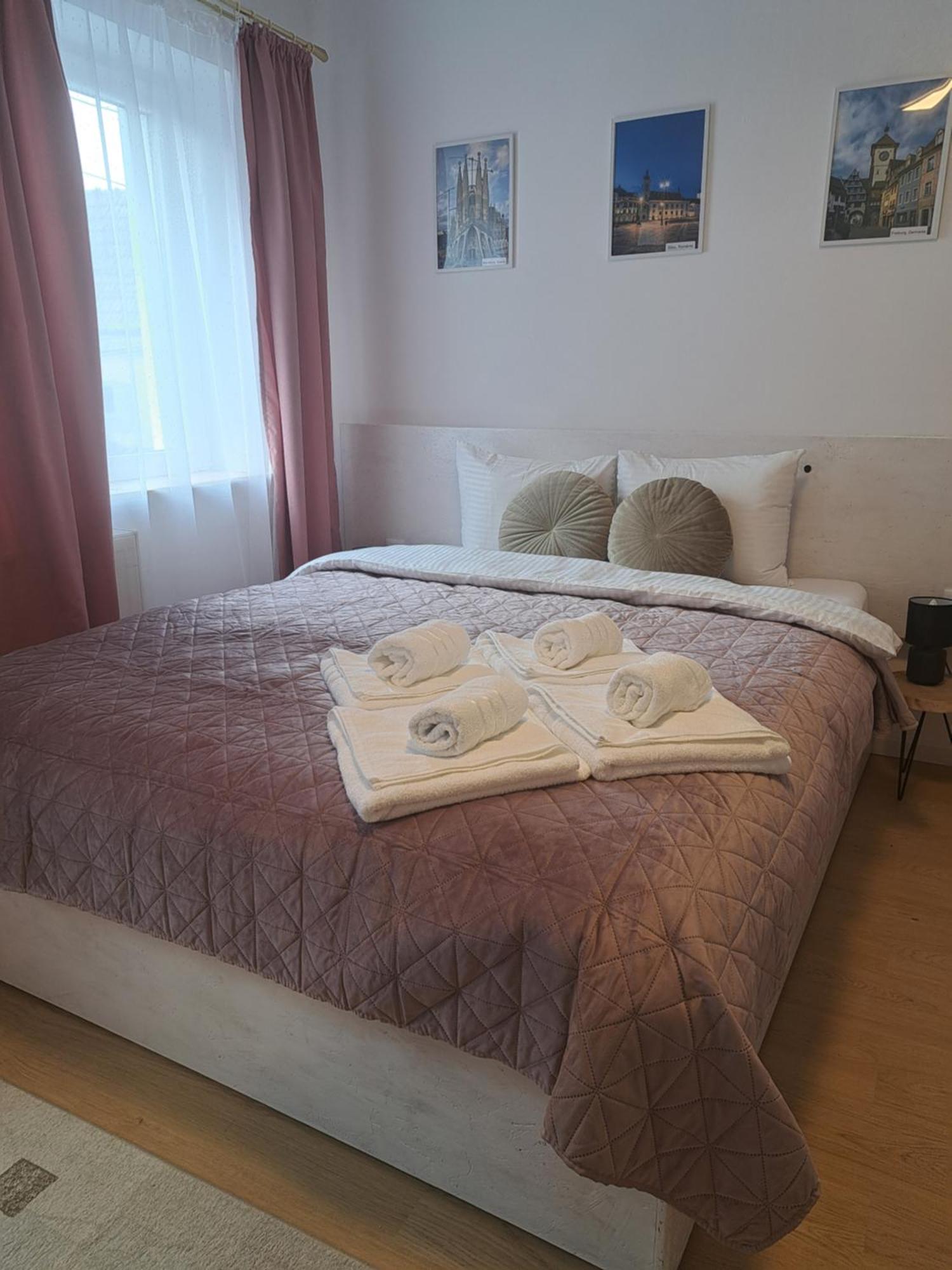 Studio With Free Parking In The Center - Deliamo 3 Hermannstadt Exterior foto