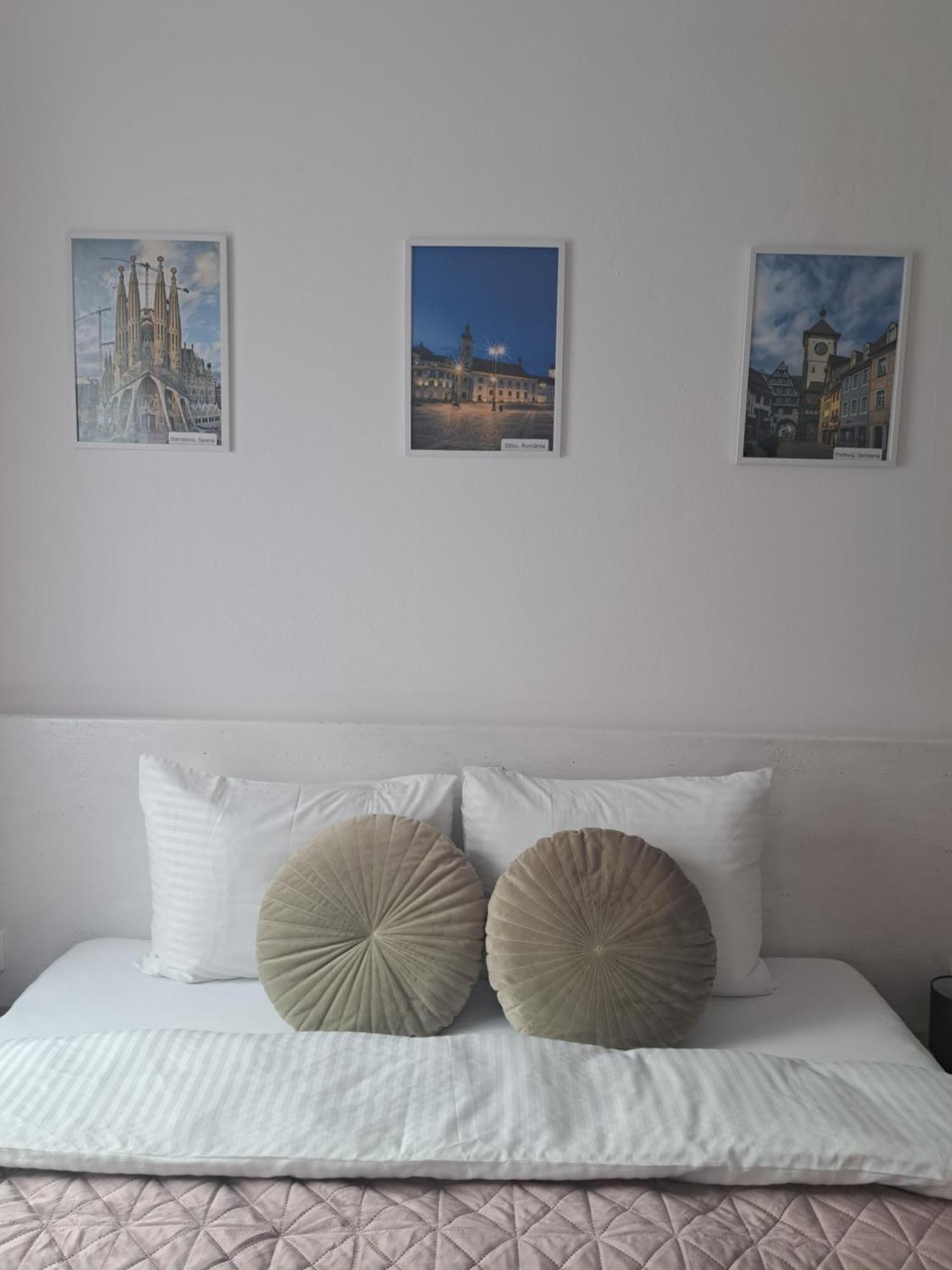 Studio With Free Parking In The Center - Deliamo 3 Hermannstadt Exterior foto